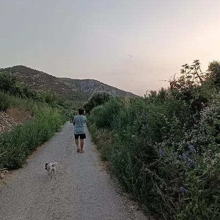 Camino Ve Camping Belevi