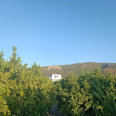Vandrerhjem Camino Ve Camping Belevi